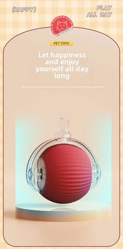 Palla Automatica Interattiva per Cuccioli e Gatti