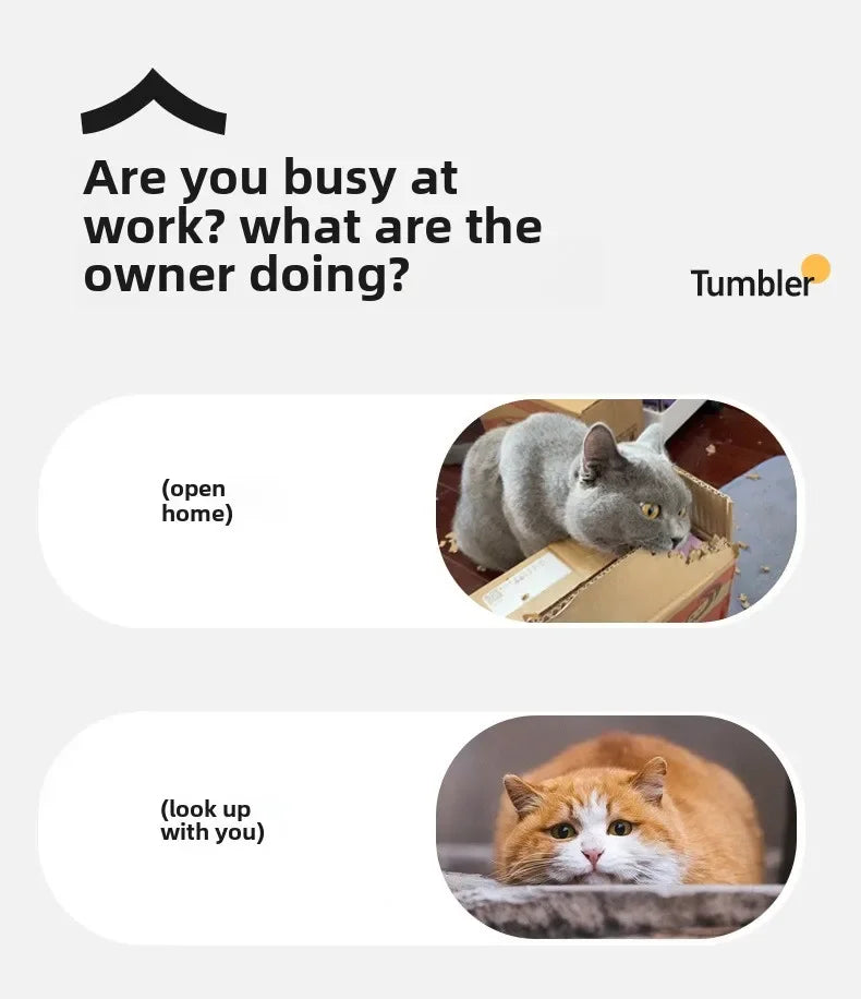 Palla Automatica Interattiva per Cuccioli e Gatti