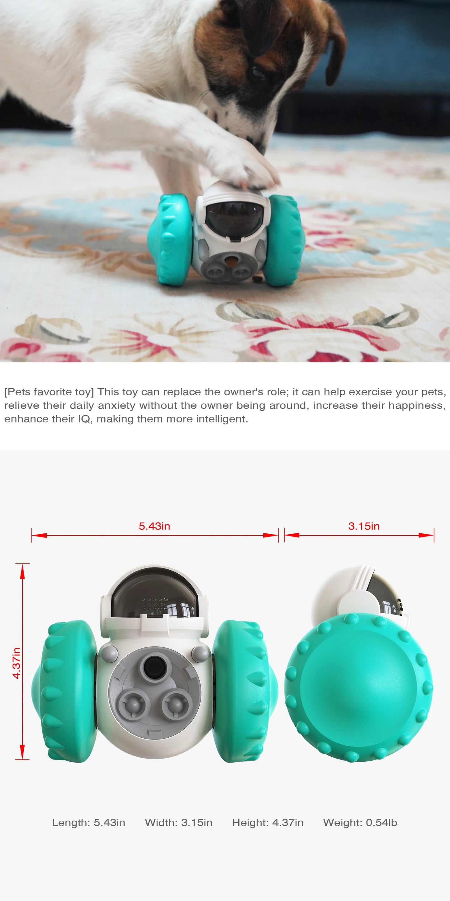 Gioco interattivo per cani