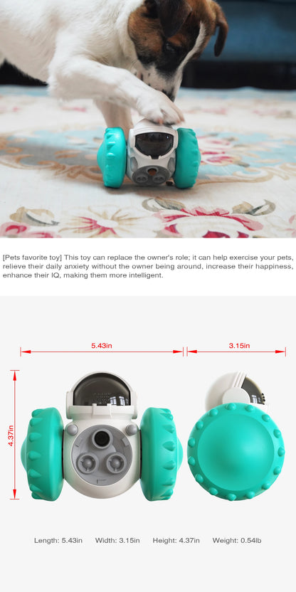 Gioco interattivo per cani