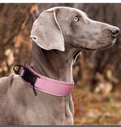 Collare Magnetico per Cani: Sicuro e Regolabile