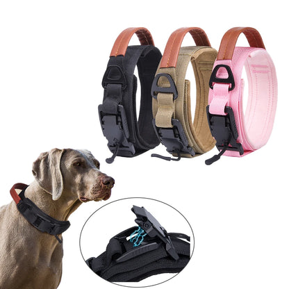 Collare Magnetico per Cani: Sicuro e Regolabile