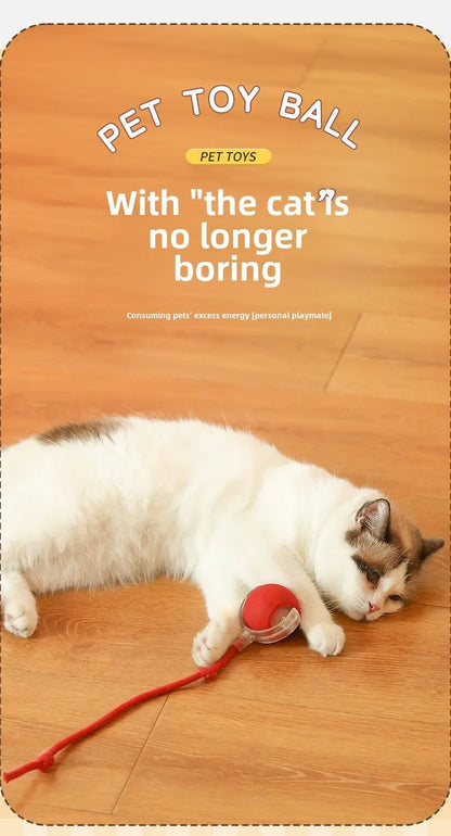 Palla Automatica Interattiva per Cuccioli e Gatti