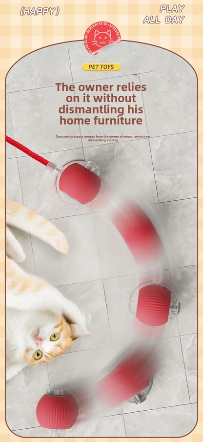 Palla Automatica Interattiva per Cuccioli e Gatti