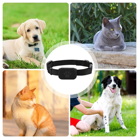 Collare GPS Smart per Animali Domestici