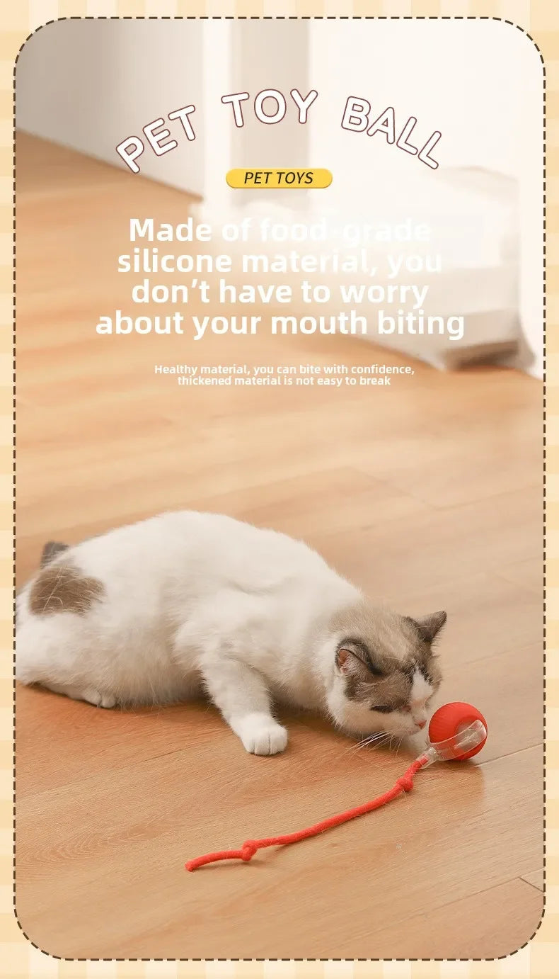 Palla Automatica Interattiva per Cuccioli e Gatti