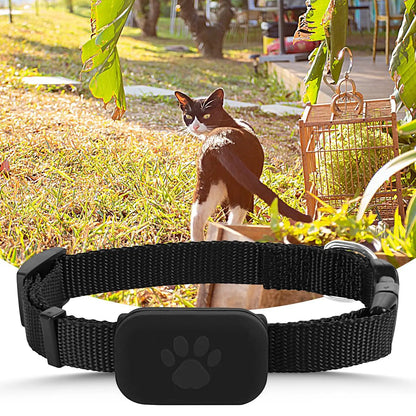 Collare GPS Smart per Animali Domestici