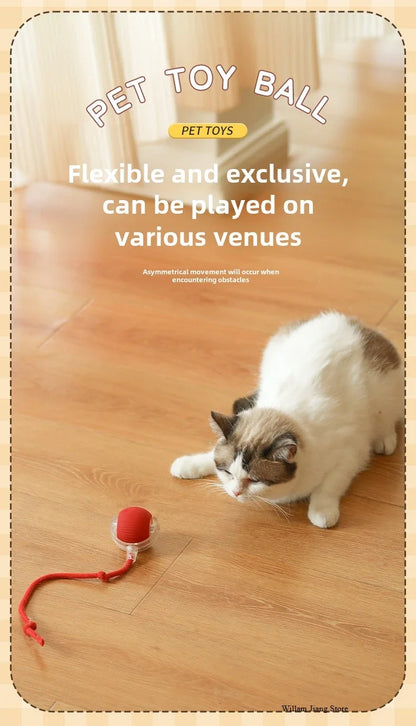 Palla Automatica Interattiva per Cuccioli e Gatti